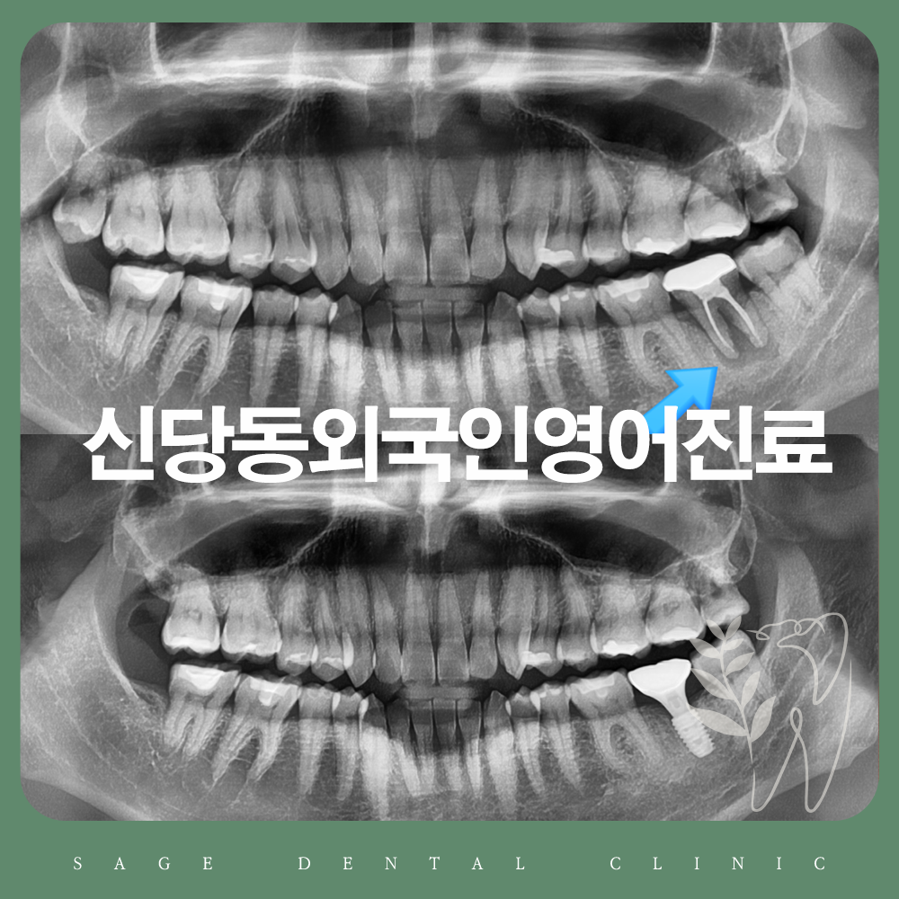 신당동외국인영어진료