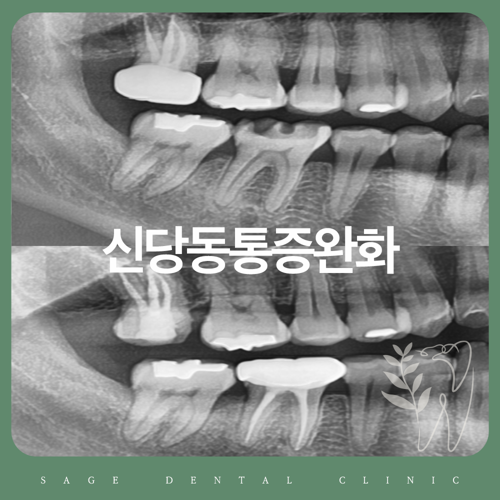 신당동통증완화