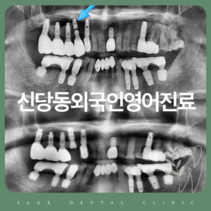 신당동외국인영어진료