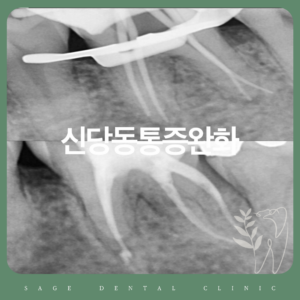 신당동통증완화