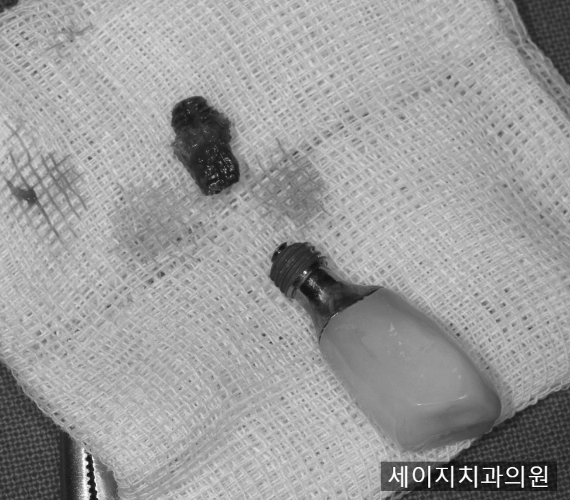 신당동외국인영어진료