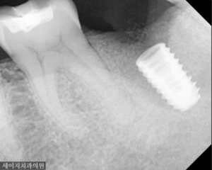 신당동외국인영어진료