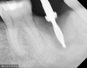 신당동외국인영어진료