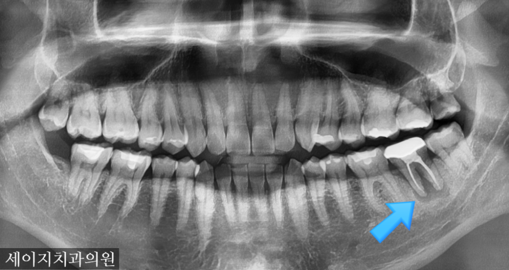 신당동외국인영어진료