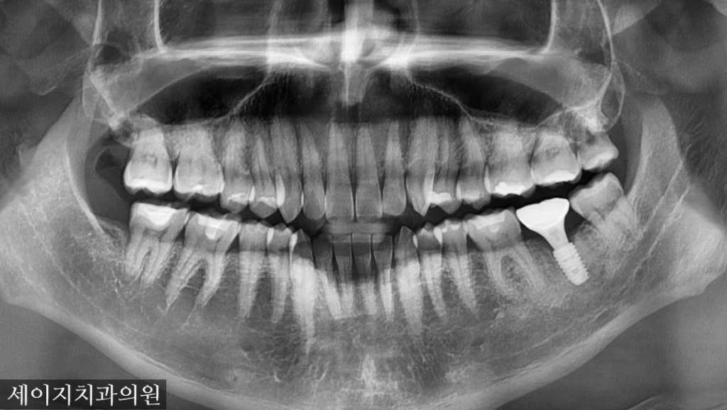 신당동외국인영어진료