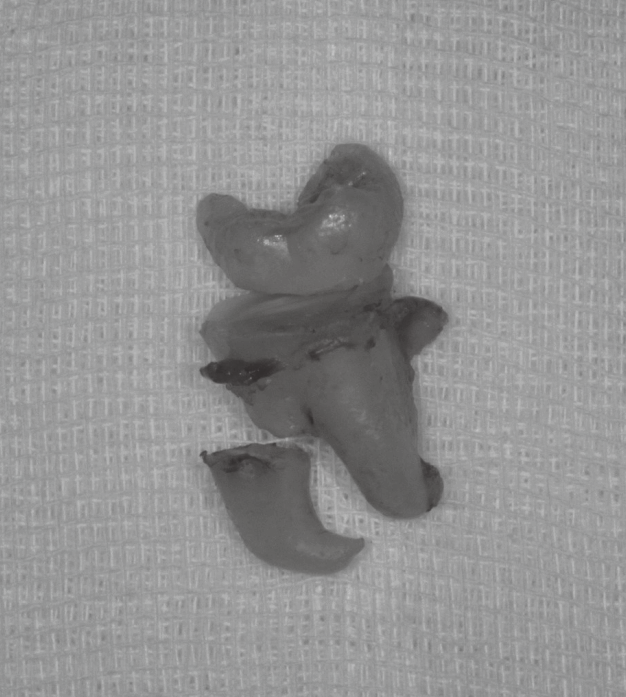 약수역외국인영어진료