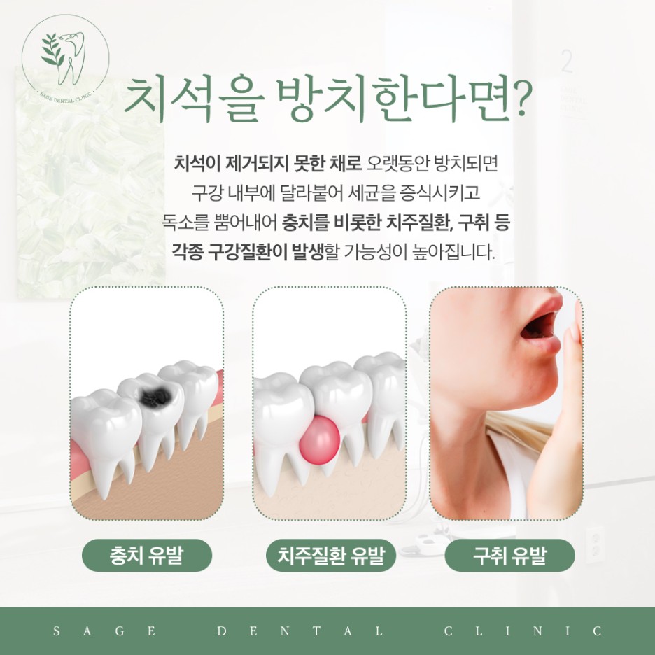 약수동외국인영어진료