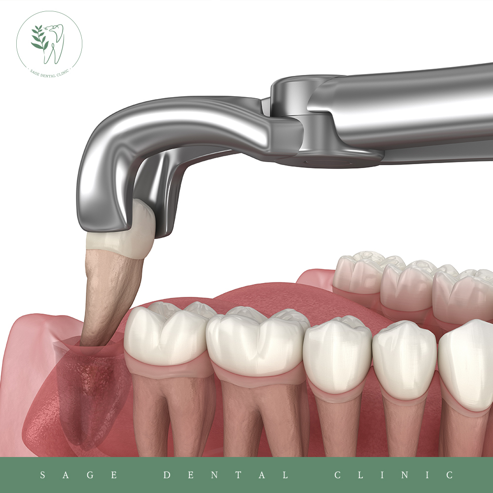 신당동외국인영어진료