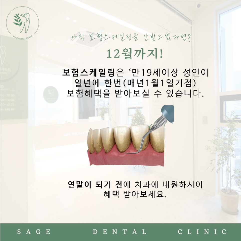 약수동외국인영어진료