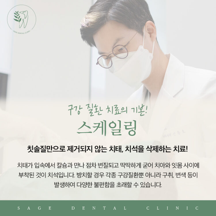 약수역스케일링